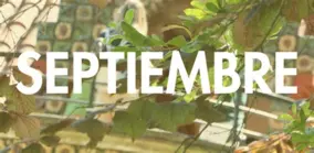 Mis cosas de Septiembre 2025